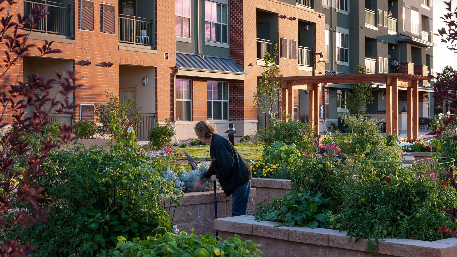 Wheat Ridge Town Center Garden